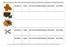 Sätze-umstellen-Honigbiene-3-B.pdf
